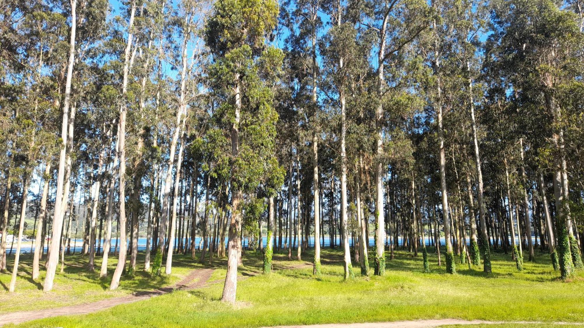 Appartamento Nido Ria Villaviciosa  Esterno foto